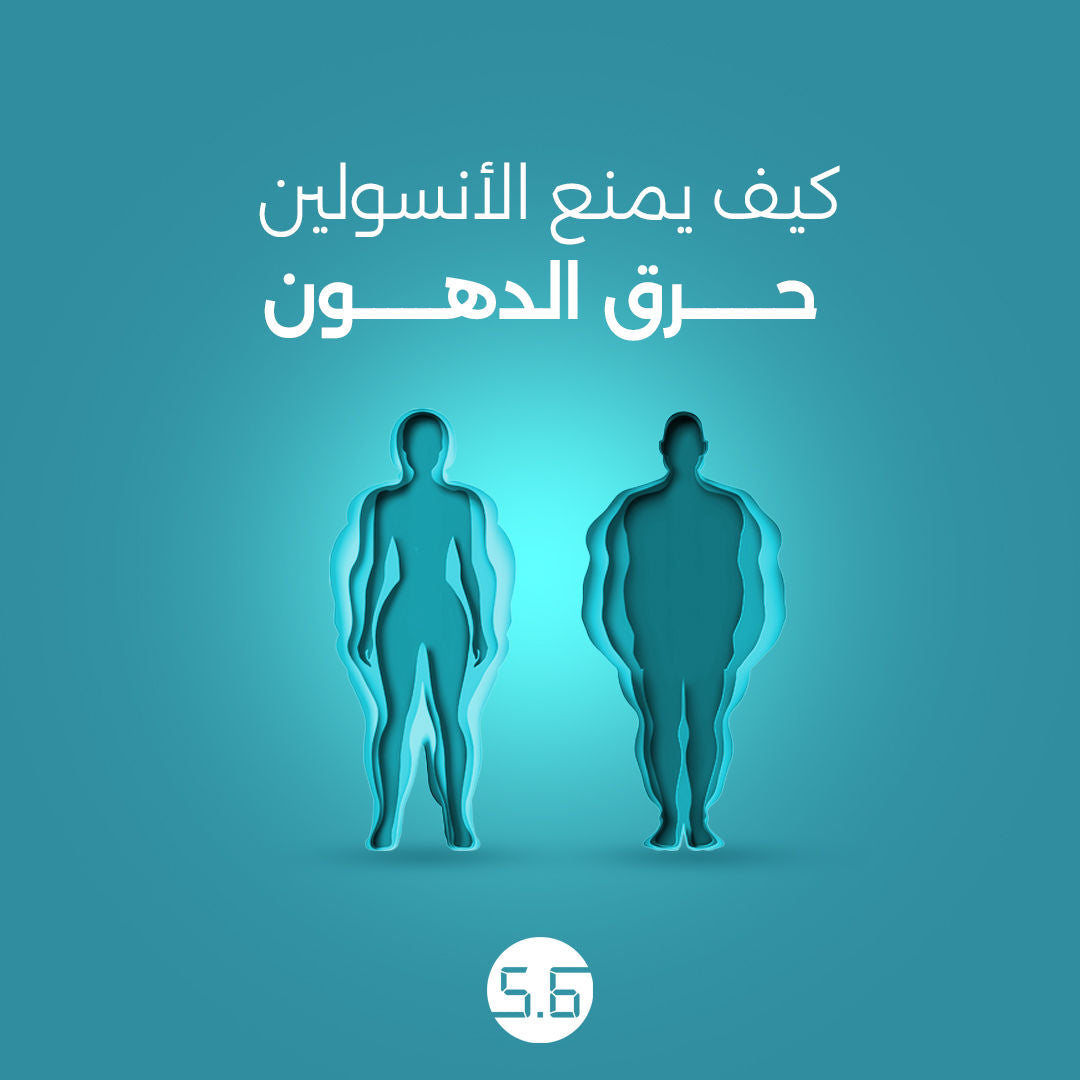 كيف يمنع الأنسولين حرق الدهون