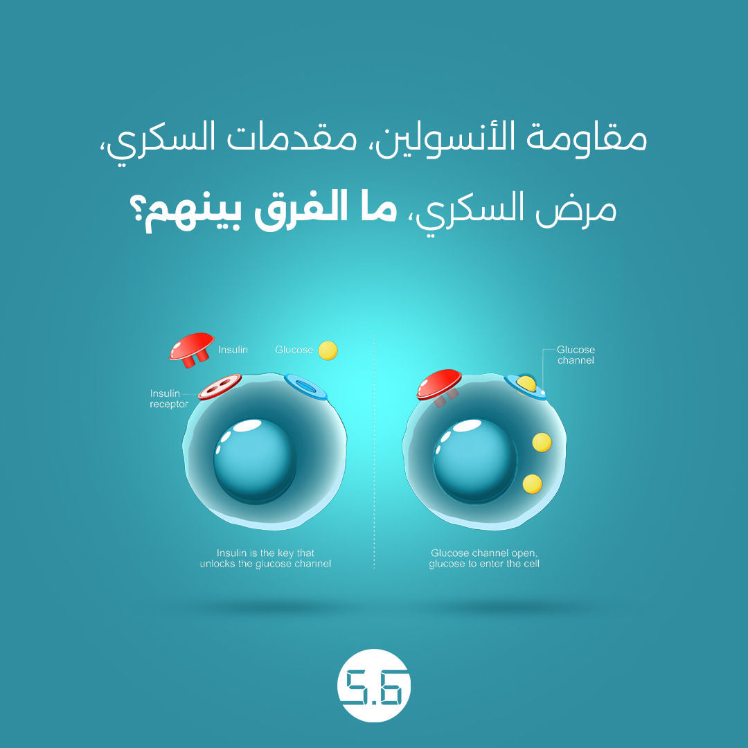 مقاومة الأنسولين، مقدمات السكري، مرض السكري، ما الفرق بينهم؟